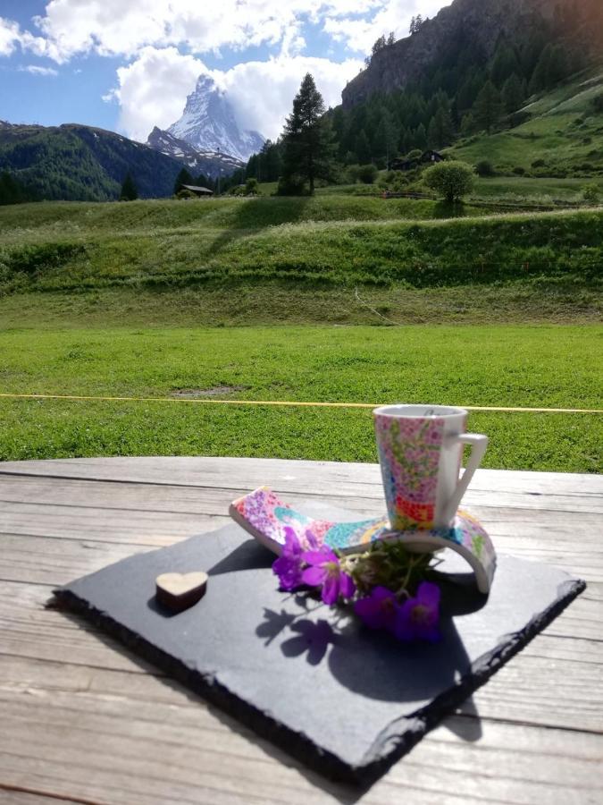 Appartement Emelie Zermatt 4**** Extérieur photo